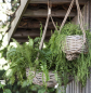 Preview: Blumenampel Hängekorb Rattan mit Juteschnur IB Laursen